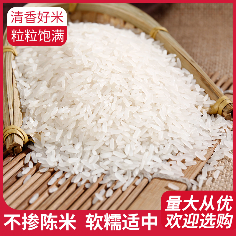 ZT5019-食品饮料-红色.jpg