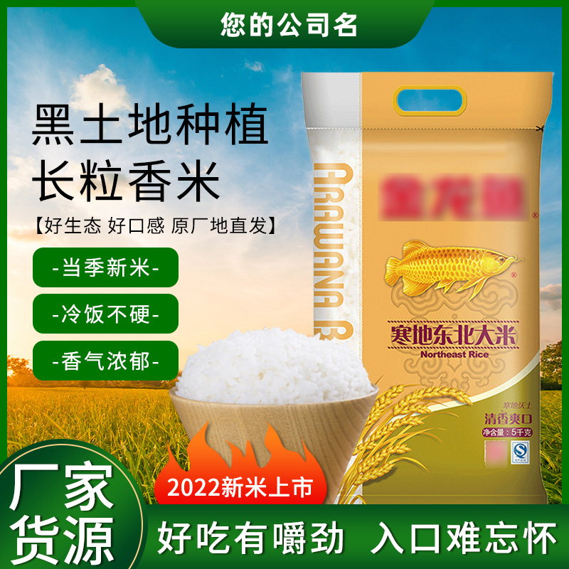 ZT5206-食品饮料-绿色.jpg